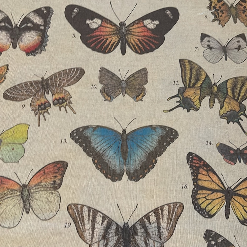 NEW Butterfly Linen Scroll Wall Hanging - Picture 5 of 5